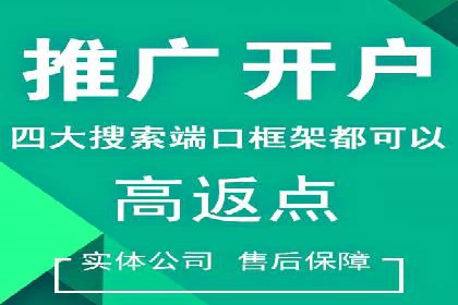 案例分析：信息流广告投放策略的成败关键